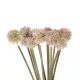 Artificial Garden PALE PINK DANDELION BOUQET 21361 Τεχνητό Διακοσμητικό Ταραξάκο Μπουκέτο Y54cm Artificial Garden PALE PINK DANDELION BOUQET 21361 Τεχνητό Διακοσμητικό Ταραξάκο Μπουκέτο Y54cm