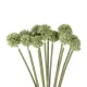 Artificial Garden PALE GREEN DANDELION BOUQET 21362 Τεχνητό Διακοσμητικό Ταραξάκο Μπουκέτο Y54cm Artificial Garden PALE GREEN DANDELION BOUQET 21362 Τεχνητό Διακοσμητικό Ταραξάκο Μπουκέτο Y54cm