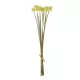 Artificial Garden PALE YELLOW DANDELION BOUQET 21363 Τεχνητό Διακοσμητικό Ταραξάκο Μπουκέτο Y54cm Artificial Garden PALE YELLOW DANDELION BOUQET 21363 Τεχνητό Διακοσμητικό Ταραξάκο Μπουκέτο Y54cm