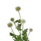 Artificial Garden PURPLE PINK BOUQET 21366 Τεχνητό Διακοσμητικό Ταραξάκο Μπουκέτο Y70cm Artificial Garden PURPLE PINK BOUQET 21366 Τεχνητό Διακοσμητικό Ταραξάκο Μπουκέτο Y70cm