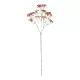 Artificial Garden PALE PINK BRANCH BABY BREATH 21369 Τεχνητό Διακοσμητικό Κλαδί Ροζ Γυψοφίλης Y61cm Artificial Garden PALE PINK BRANCH BABY BREATH 21369 Τεχνητό Διακοσμητικό Κλαδί Ροζ Γυψοφίλης Y61cm