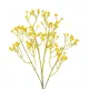 Artificial Garden YELLOW BRANCH BABY BREATH 21370 Τεχνητό Διακοσμητικό Κλαδί Κίτρινης Γυψοφίλης Y61cm Artificial Garden YELLOW BRANCH BABY BREATH 21370 Τεχνητό Διακοσμητικό Κλαδί Κίτρινης Γυψοφίλης Y61cm
