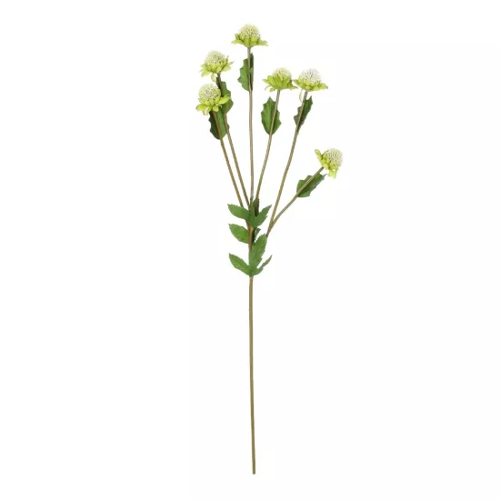 Artificial Garden GREEN IRON THREAD BRANCH 21372 Τεχνητό Διακοσμητικό Κλαδί Πράσινο Ασπιδίστρα Y57cm Artificial Garden GREEN IRON THREAD BRANCH 21372 Τεχνητό Διακοσμητικό Κλαδί Πράσινο Ασπιδίστρα Y57cm