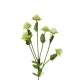 Artificial Garden GREEN IRON THREAD BRANCH 21372 Τεχνητό Διακοσμητικό Κλαδί Πράσινο Ασπιδίστρα Y57cm Artificial Garden GREEN IRON THREAD BRANCH 21372 Τεχνητό Διακοσμητικό Κλαδί Πράσινο Ασπιδίστρα Y57cm