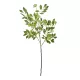 Artificial Garden GREEN EIGHT TREASURE FRUIT BRANCH 21373 Τεχνητό Διακοσμητικό Κλαδί Eight Tresure Πράσινο Y87cm Artificial Garden GREEN EIGHT TREASURE FRUIT BRANCH 21373 Τεχνητό Διακοσμητικό Κλαδί Eight Tresure Πράσινο Y87cm