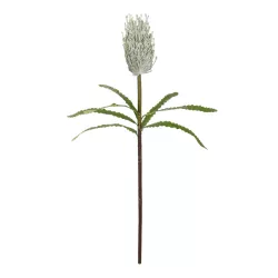 Artificial Garden WHITE STIPA FRUIT BRANCH 21374 Τεχνητό Διακοσμητικό Κλαδί Στίπα Y69cm