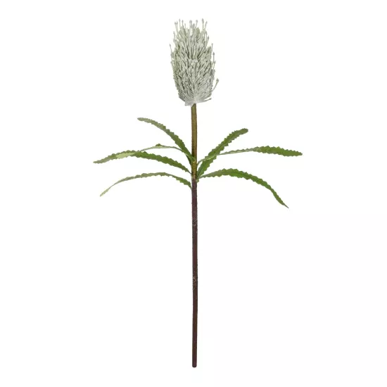 Artificial Garden WHITE STIPA FRUIT BRANCH 21374 Τεχνητό Διακοσμητικό Κλαδί Στίπα Y69cm Artificial Garden WHITE STIPA FRUIT BRANCH 21374 Τεχνητό Διακοσμητικό Κλαδί Στίπα Y69cm