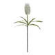 Artificial Garden WHITE STIPA FRUIT BRANCH 21374 Τεχνητό Διακοσμητικό Κλαδί Στίπα Y69cm Artificial Garden WHITE STIPA FRUIT BRANCH 21374 Τεχνητό Διακοσμητικό Κλαδί Στίπα Y69cm