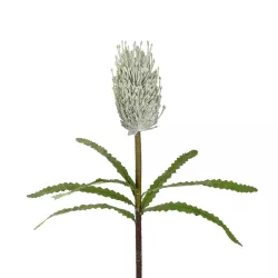 Artificial Garden WHITE STIPA FRUIT BRANCH 21374 Τεχνητό Διακοσμητικό Κλαδί Στίπα Y69cm