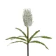 Artificial Garden WHITE STIPA FRUIT BRANCH 21374 Τεχνητό Διακοσμητικό Κλαδί Στίπα Y69cm Artificial Garden WHITE STIPA FRUIT BRANCH 21374 Τεχνητό Διακοσμητικό Κλαδί Στίπα Y69cm