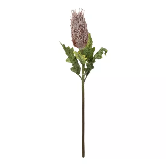 Artificial Garden PURPLE STIPA FRUIT BRANCH 21375 Τεχνητό Διακοσμητικό Κλαδί Στίπα Y69cm Artificial Garden PURPLE STIPA FRUIT BRANCH 21375 Τεχνητό Διακοσμητικό Κλαδί Στίπα Y69cm