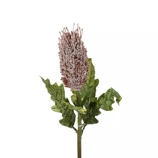 Artificial Garden PURPLE STIPA FRUIT BRANCH 21375 Τεχνητό Διακοσμητικό Κλαδί Στίπα Y69cm Artificial Garden PURPLE STIPA FRUIT BRANCH 21375 Τεχνητό Διακοσμητικό Κλαδί Στίπα Y69cm