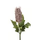 Artificial Garden PURPLE STIPA FRUIT BRANCH 21375 Τεχνητό Διακοσμητικό Κλαδί Στίπα Y69cm Artificial Garden PURPLE STIPA FRUIT BRANCH 21375 Τεχνητό Διακοσμητικό Κλαδί Στίπα Y69cm