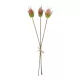 Artificial Garden PINK VELVET FRUIT BOUQET 21377 Τεχνητό Διακοσμητικό Μπουκέτο Βερμπάσκο Y56cm Artificial Garden PINK VELVET FRUIT BOUQET 21377 Τεχνητό Διακοσμητικό Μπουκέτο Βερμπάσκο Y56cm
