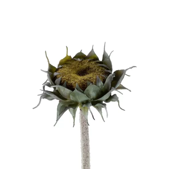 Artificial Garden GREEN SUNFLOWER BRANCH 21378 Τεχνητό Διακοσμητικό Κλαδί Ηλιοτρόπιο Πράσινο Y60cm Artificial Garden GREEN SUNFLOWER BRANCH 21378 Τεχνητό Διακοσμητικό Κλαδί Ηλιοτρόπιο Πράσινο Y60cm
