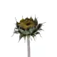 Artificial Garden GREEN SUNFLOWER BRANCH 21378 Τεχνητό Διακοσμητικό Κλαδί Ηλιοτρόπιο Πράσινο Y60cm Artificial Garden GREEN SUNFLOWER BRANCH 21378 Τεχνητό Διακοσμητικό Κλαδί Ηλιοτρόπιο Πράσινο Y60cm