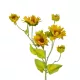 Artificial Garden YELLOW SUNFLOWER BRANCH 21379 Τεχνητό Διακοσμητικό Κλαδί Ηλιοτρόπιο Κίτρινο Y72cm Artificial Garden YELLOW SUNFLOWER BRANCH 21379 Τεχνητό Διακοσμητικό Κλαδί Ηλιοτρόπιο Κίτρινο Y72cm