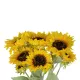Artificial Garden YELLOW SUNFLOWER BRANCH 21382 Τεχνητό Διακοσμητικό Κλαδί Ηλιοτρόπιο Κίτρινο Y55cm Artificial Garden YELLOW SUNFLOWER BRANCH 21382 Τεχνητό Διακοσμητικό Κλαδί Ηλιοτρόπιο Κίτρινο Y55cm