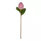 Artificial Garden PINK EMPERORS FLOWER BRANCH 21388 Τεχνητό Διακοσμητικό Κλαδί Emperors Flower Ροζ Y70cm Artificial Garden PINK EMPERORS FLOWER BRANCH 21388 Τεχνητό Διακοσμητικό Κλαδί Emperors Flower Ροζ Y70cm