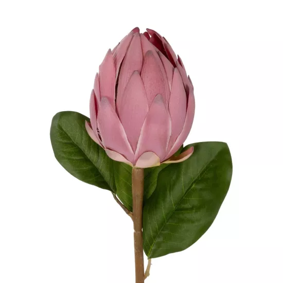 Artificial Garden PINK EMPERORS FLOWER BRANCH 21388 Τεχνητό Διακοσμητικό Κλαδί Emperors Flower Ροζ Y70cm Artificial Garden PINK EMPERORS FLOWER BRANCH 21388 Τεχνητό Διακοσμητικό Κλαδί Emperors Flower Ροζ Y70cm