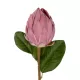 Artificial Garden PINK EMPERORS FLOWER BRANCH 21388 Τεχνητό Διακοσμητικό Κλαδί Emperors Flower Ροζ Y70cm Artificial Garden PINK EMPERORS FLOWER BRANCH 21388 Τεχνητό Διακοσμητικό Κλαδί Emperors Flower Ροζ Y70cm