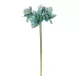 Artificial Garden SKY BLUE KAFFIR LILY BRANCH 21389 Τεχνητό Διακοσμητικό Κλαδί Μπλέ Κρίνο Y72cm Artificial Garden SKY BLUE KAFFIR LILY BRANCH 21389 Τεχνητό Διακοσμητικό Κλαδί Μπλέ Κρίνο Y72cm