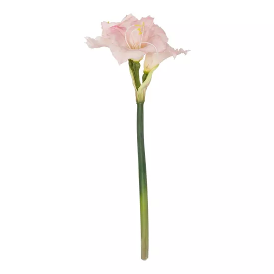 Artificial Garden PINK KAFFIR LILY BRANCH 21390 Τεχνητό Διακοσμητικό Κλαδί Ροζ Κρίνο Y58cm Artificial Garden PINK KAFFIR LILY BRANCH 21390 Τεχνητό Διακοσμητικό Κλαδί Ροζ Κρίνο Y58cm