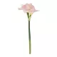 Artificial Garden PINK KAFFIR LILY BRANCH 21390 Τεχνητό Διακοσμητικό Κλαδί Ροζ Κρίνο Y58cm Artificial Garden PINK KAFFIR LILY BRANCH 21390 Τεχνητό Διακοσμητικό Κλαδί Ροζ Κρίνο Y58cm