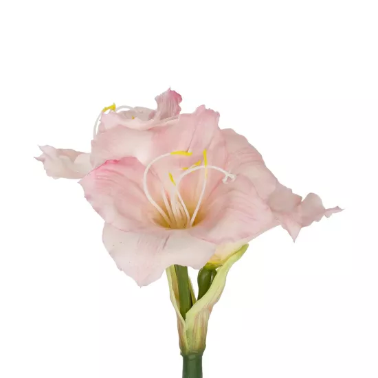Artificial Garden PINK KAFFIR LILY BRANCH 21390 Τεχνητό Διακοσμητικό Κλαδί Ροζ Κρίνο Y58cm Artificial Garden PINK KAFFIR LILY BRANCH 21390 Τεχνητό Διακοσμητικό Κλαδί Ροζ Κρίνο Y58cm