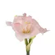 Artificial Garden PINK KAFFIR LILY BRANCH 21390 Τεχνητό Διακοσμητικό Κλαδί Ροζ Κρίνο Y58cm Artificial Garden PINK KAFFIR LILY BRANCH 21390 Τεχνητό Διακοσμητικό Κλαδί Ροζ Κρίνο Y58cm