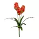 Artificial Garden RED MOON PEACH BRANCH 21391 Τεχνητό Διακοσμητικό Κόκκινο Κλαδί Άνθος Ροδάκινου Y70cm Artificial Garden RED MOON PEACH BRANCH 21391 Τεχνητό Διακοσμητικό Κόκκινο Κλαδί Άνθος Ροδάκινου Y70cm