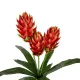 Artificial Garden RED MOON PEACH BRANCH 21391 Τεχνητό Διακοσμητικό Κόκκινο Κλαδί Άνθος Ροδάκινου Y70cm Artificial Garden RED MOON PEACH BRANCH 21391 Τεχνητό Διακοσμητικό Κόκκινο Κλαδί Άνθος Ροδάκινου Y70cm