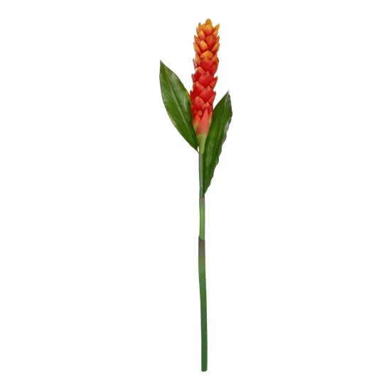 Artificial Garden RED MOON PEACH BRANCH 21392 Τεχνητό Διακοσμητικό Κόκκινο Κλαδί Άνθος Ροδάκινου Y105cm Artificial Garden RED MOON PEACH BRANCH 21392 Τεχνητό Διακοσμητικό Κόκκινο Κλαδί Άνθος Ροδάκινου Y105cm
