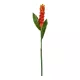 Artificial Garden RED MOON PEACH BRANCH 21392 Τεχνητό Διακοσμητικό Κόκκινο Κλαδί Άνθος Ροδάκινου Y105cm Artificial Garden RED MOON PEACH BRANCH 21392 Τεχνητό Διακοσμητικό Κόκκινο Κλαδί Άνθος Ροδάκινου Y105cm