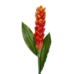 Artificial Garden RED MOON PEACH BRANCH 21392 Τεχνητό Διακοσμητικό Κόκκινο Κλαδί Άνθος Ροδάκινου Y105cm