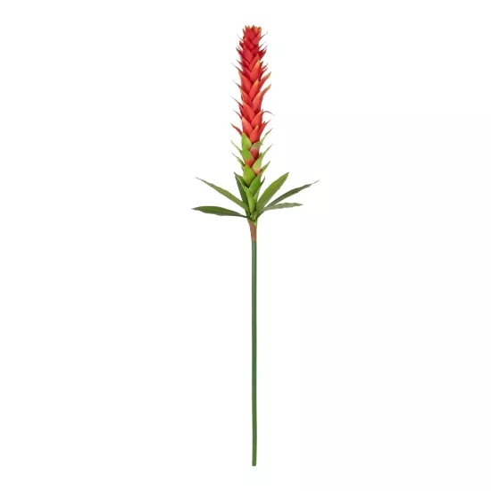 Artificial Garden RED GINGER BUD BRANCH 21393 Τεχνητό Διακοσμητικό Κόκκινο Κλαδί Ginger Y124cm Artificial Garden RED GINGER BUD BRANCH 21393 Τεχνητό Διακοσμητικό Κόκκινο Κλαδί Ginger Y124cm