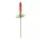 Artificial Garden RED GINGER BUD BRANCH 21393 Τεχνητό Διακοσμητικό Κόκκινο Κλαδί Ginger Y124cm Artificial Garden RED GINGER BUD BRANCH 21393 Τεχνητό Διακοσμητικό Κόκκινο Κλαδί Ginger Y124cm