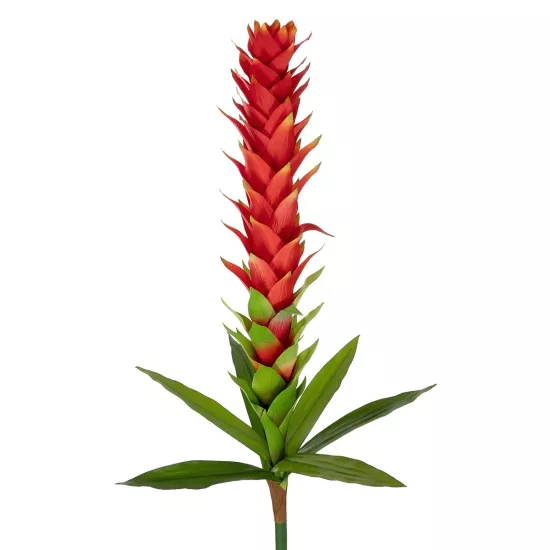 Artificial Garden RED GINGER BUD BRANCH 21393 Τεχνητό Διακοσμητικό Κόκκινο Κλαδί Ginger Y124cm Artificial Garden RED GINGER BUD BRANCH 21393 Τεχνητό Διακοσμητικό Κόκκινο Κλαδί Ginger Y124cm