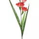 Artificial Garden RED GLADIOLUS FLOWER BRANCH 21396 Τεχνητό Διακοσμητικό Κλαδί Γλαδιόλα Y116cm Artificial Garden RED GLADIOLUS FLOWER BRANCH 21396 Τεχνητό Διακοσμητικό Κλαδί Γλαδιόλα Y116cm
