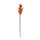 Artificial Garden RED PEACOCK BRANCH 21398 Τεχνητό Διακοσμητικό Κλαδί Κόκκινο πουλί του παραδείσου Y90cm Artificial Garden RED PEACOCK BRANCH 21398 Τεχνητό Διακοσμητικό Κλαδί Κόκκινο πουλί του παραδείσου Y90cm