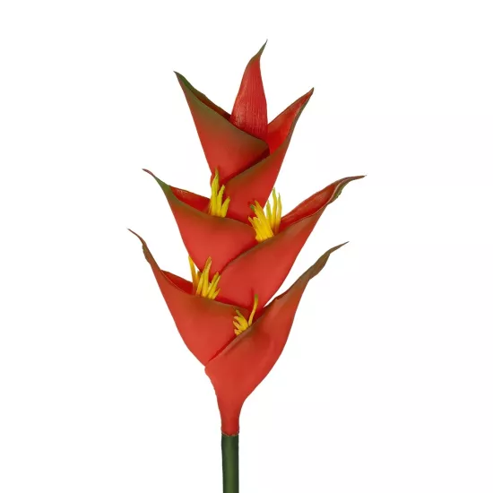 Artificial Garden RED PEACOCK BRANCH 21398 Τεχνητό Διακοσμητικό Κλαδί Κόκκινο πουλί του παραδείσου Y90cm Artificial Garden RED PEACOCK BRANCH 21398 Τεχνητό Διακοσμητικό Κλαδί Κόκκινο πουλί του παραδείσου Y90cm