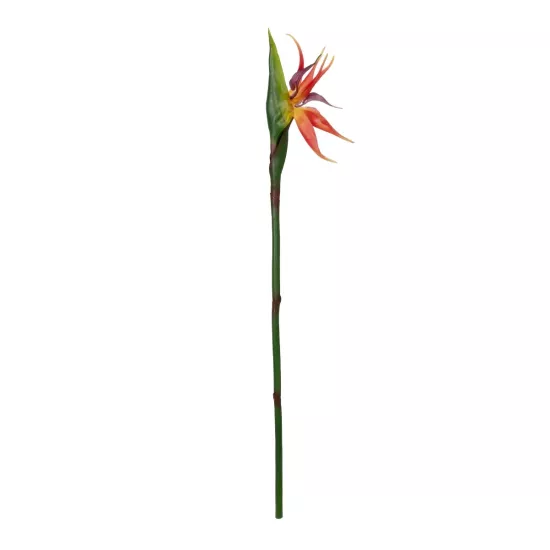 Artificial Garden ORANGE STELIZIA BRANCH 21399 Τεχνητό Διακοσμητικό Κλαδί Πορτοκαλί Στρελίτζια Y82cm Artificial Garden ORANGE STELIZIA BRANCH 21399 Τεχνητό Διακοσμητικό Κλαδί Πορτοκαλί Στρελίτζια Y82cm