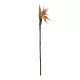 Artificial Garden ORANGE STELIZIA BRANCH 21399 Τεχνητό Διακοσμητικό Κλαδί Πορτοκαλί Στρελίτζια Y82cm Artificial Garden ORANGE STELIZIA BRANCH 21399 Τεχνητό Διακοσμητικό Κλαδί Πορτοκαλί Στρελίτζια Y82cm