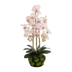 Artificial Garden BUTTERFLY ORCHID BONSAI 21400 Τεχνητό Διακοσμητικό Φυτό Ορχιδέα Μ34 x Π27 x Υ65cm