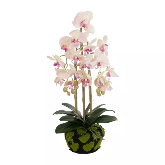 Artificial Garden BUTTERFLY ORCHID BONSAI 21400 Τεχνητό Διακοσμητικό Φυτό Ορχιδέα Μ34 x Π27 x Υ65cm Artificial Garden BUTTERFLY ORCHID BONSAI 21400 Τεχνητό Διακοσμητικό Φυτό Ορχιδέα Μ34 x Π27 x Υ65cm