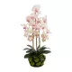 Artificial Garden BUTTERFLY ORCHID BONSAI 21400 Τεχνητό Διακοσμητικό Φυτό Ορχιδέα Μ34 x Π27 x Υ65cm Artificial Garden BUTTERFLY ORCHID BONSAI 21400 Τεχνητό Διακοσμητικό Φυτό Ορχιδέα Μ34 x Π27 x Υ65cm