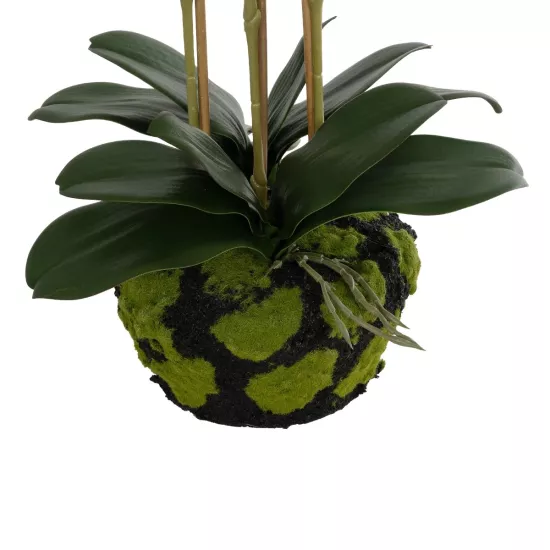 Artificial Garden BUTTERFLY ORCHID BONSAI 21400 Τεχνητό Διακοσμητικό Φυτό Ορχιδέα Μ34 x Π27 x Υ65cm Artificial Garden BUTTERFLY ORCHID BONSAI 21400 Τεχνητό Διακοσμητικό Φυτό Ορχιδέα Μ34 x Π27 x Υ65cm