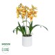 Artificial Garden YELLOW CHERRY CUMBIDIUM 21401 Διακοσμητικό Φυτό Κίτρινο Κυμβίδιο Υ60cm