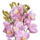 Artificial Garden PALE PINK CHERRY CYMBIDIUM 21403 Διακοσμητικό Φυτό Ροζ Κυμβίδιο Υ60cm