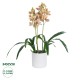 Artificial Garden CHAMPAGNE CHERRY CYMBIDIUM 21404 Διακοσμητικό Φυτό Σαμπανιζέ Κυμβίδιο Υ60cm